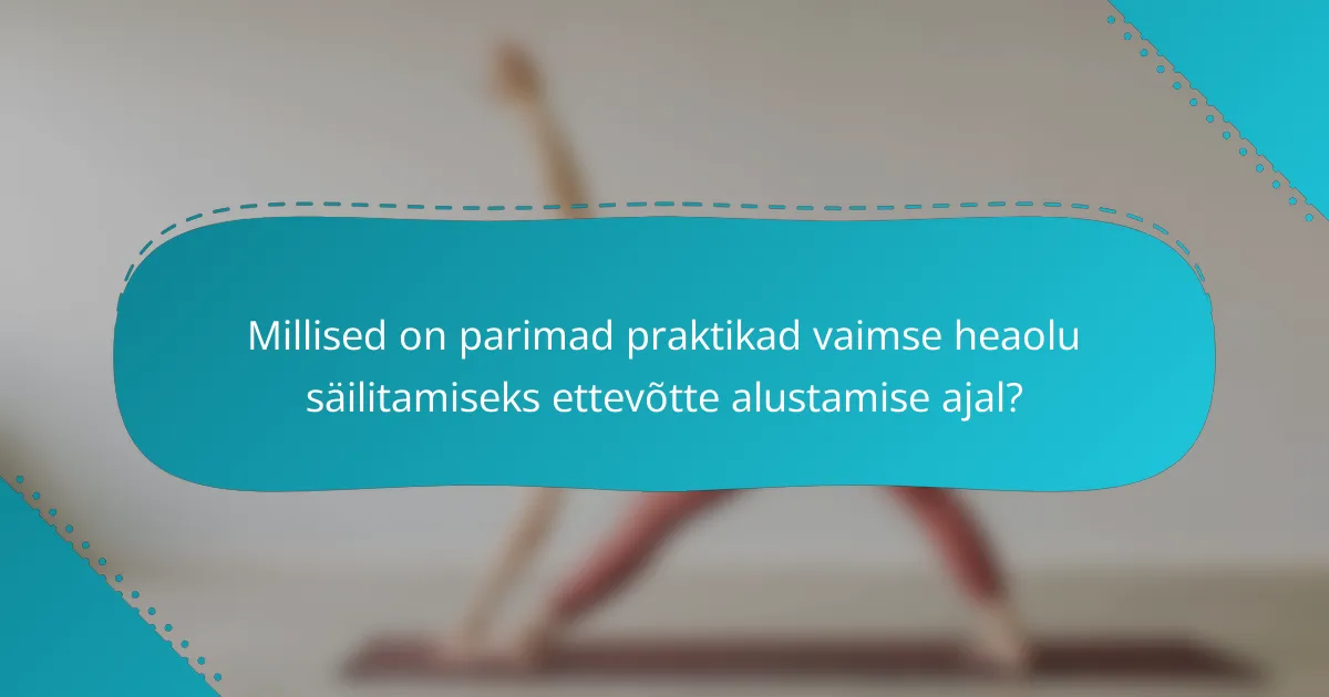 Millised on parimad praktikad vaimse heaolu säilitamiseks ettevõtte alustamise ajal?