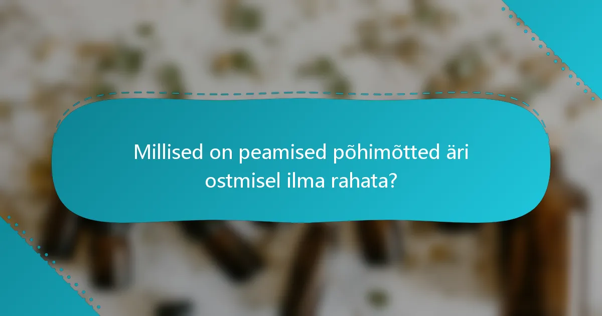 Millised on peamised põhimõtted äri ostmisel ilma rahata?